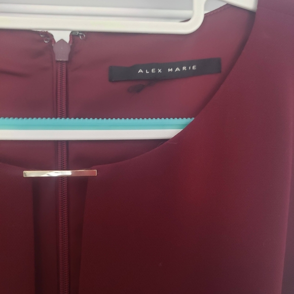 Jumpsuit size 12 Merlot Floor length. 2 Pieces with scarf. Semi-formal - Picture 2 of 9